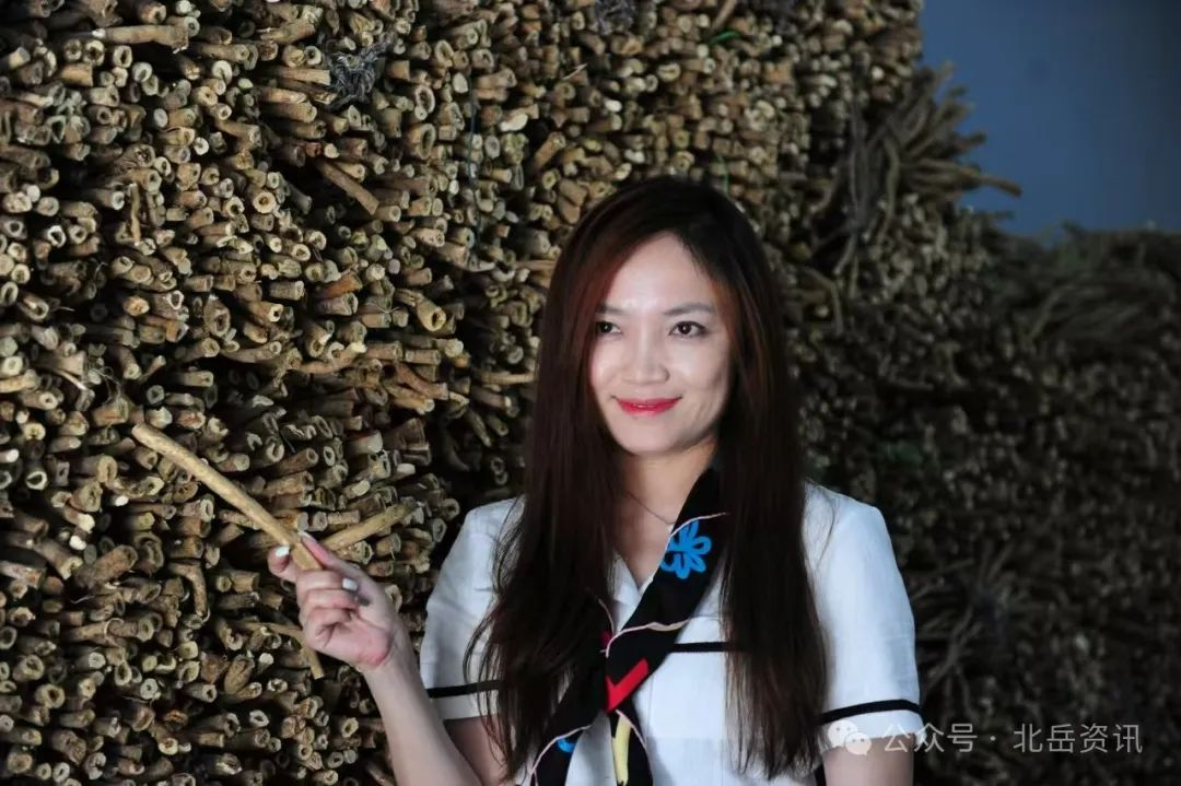 恒山黄芪：北岳道地药材的产地密码与现代生物技术价值